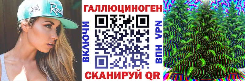 Псилоцибиновые грибы Psilocybe  Геленджик 
